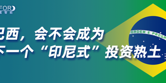 巴西，会不会成为下一个“印尼式”投资热土