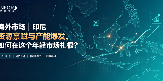 海外市场｜印尼——资源禀赋与产能爆发，如何在这个年轻市场扎根？